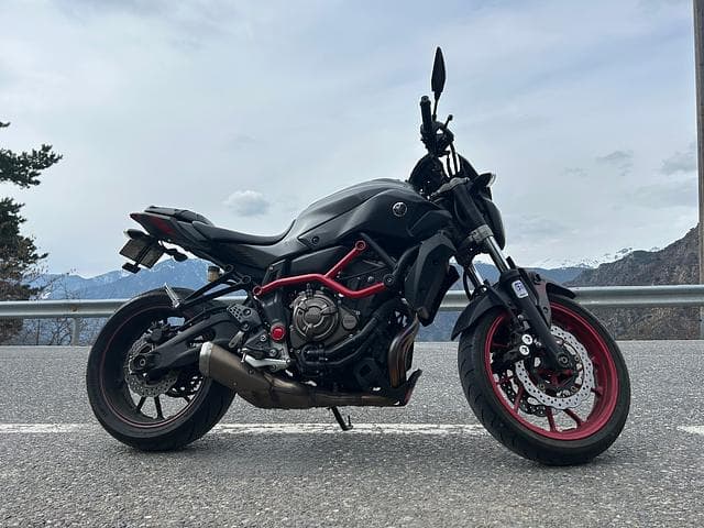 Yamaha MT-07 Moto Cage