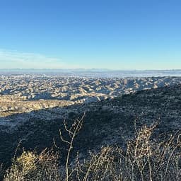 Diego Dominguez Casal