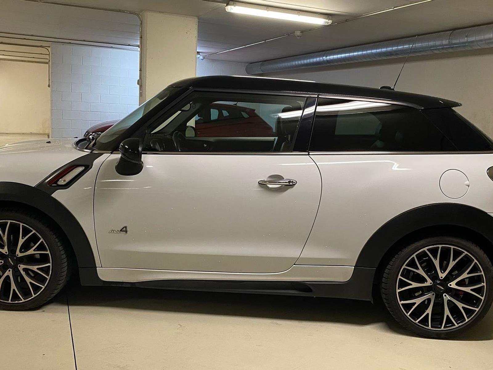 Mini Paceman