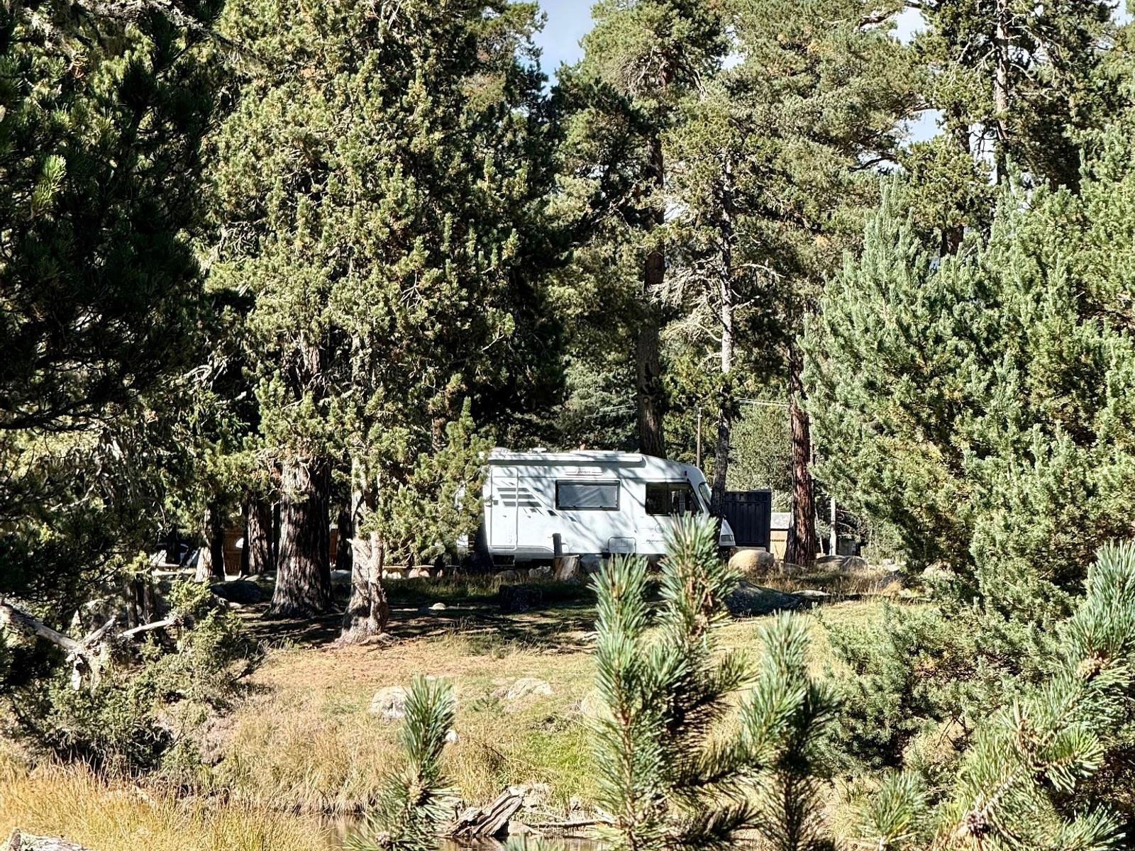 Hymer