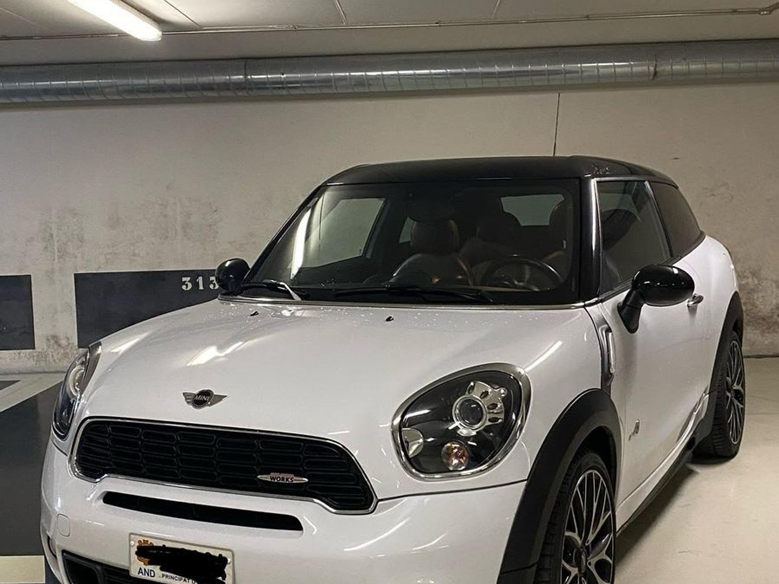 Mini Paceman