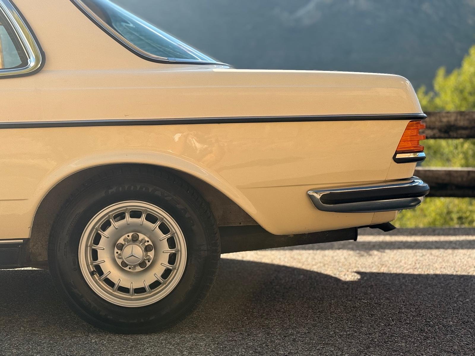 Mercedes-Benz W123