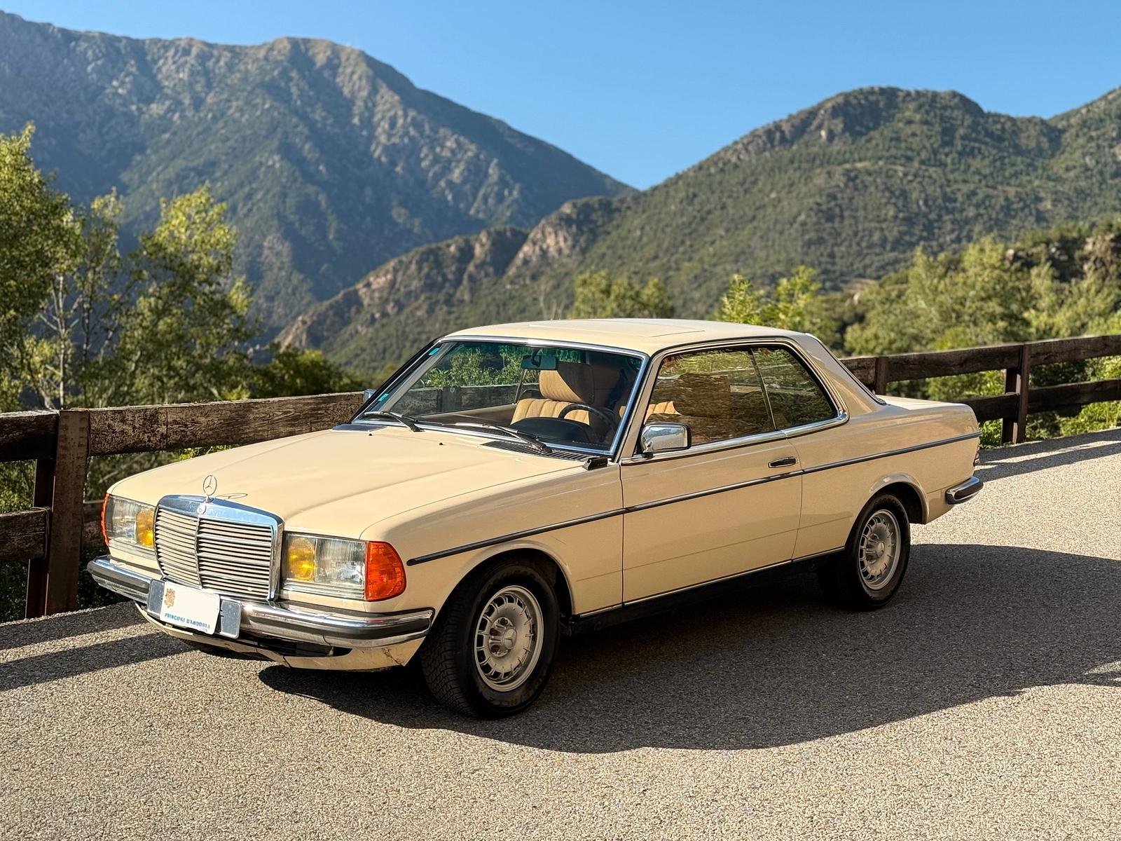 Mercedes-Benz W123