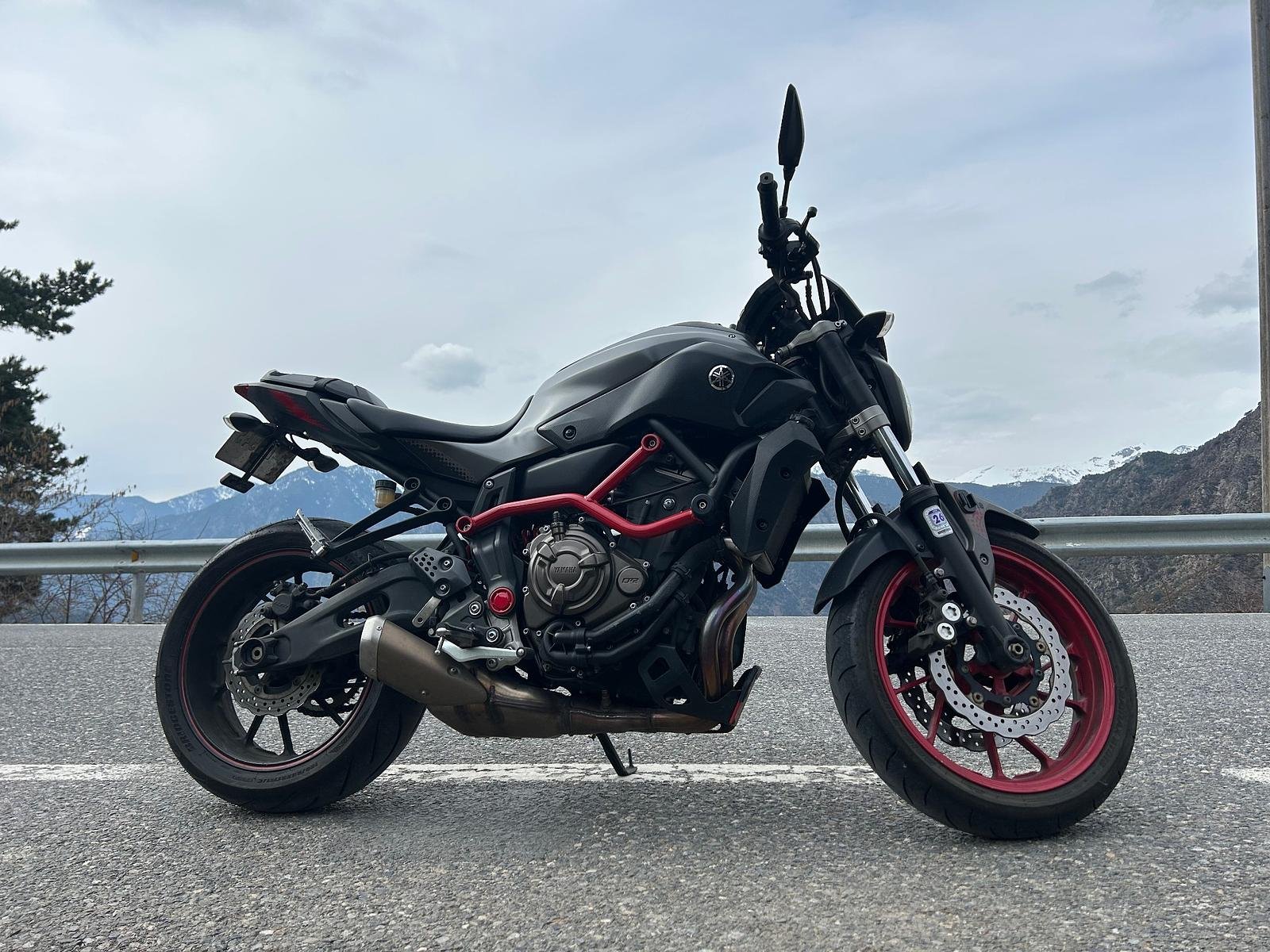 Yamaha MT-07 Moto Cage