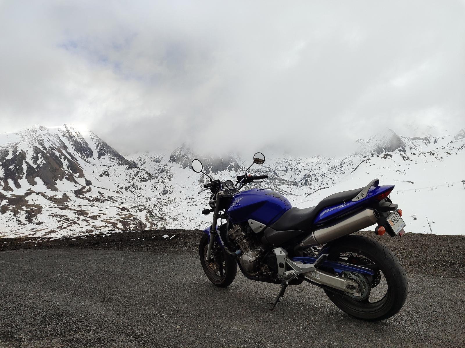 Honda 919 - Hornet 900
