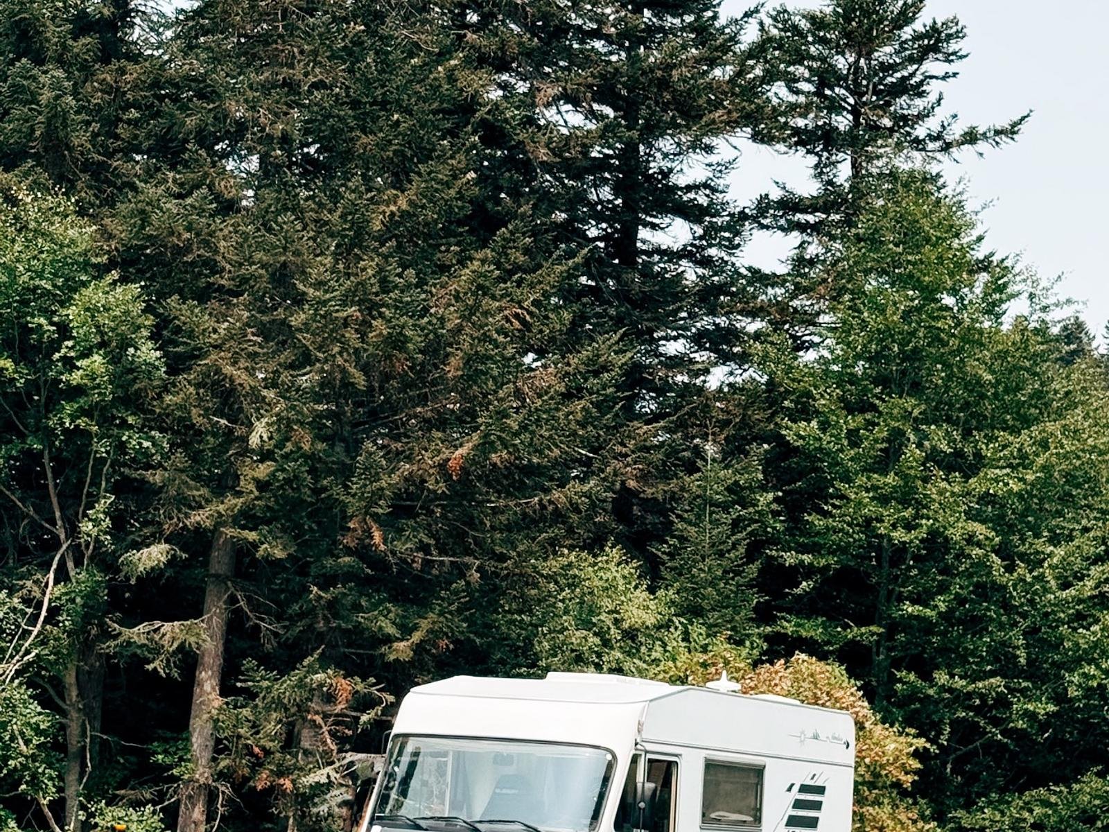 Hymer